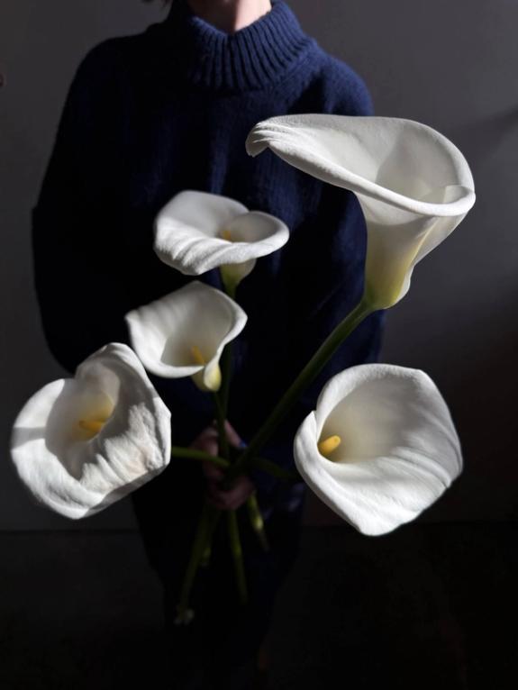 Hover Image of Giant Calla Lilies