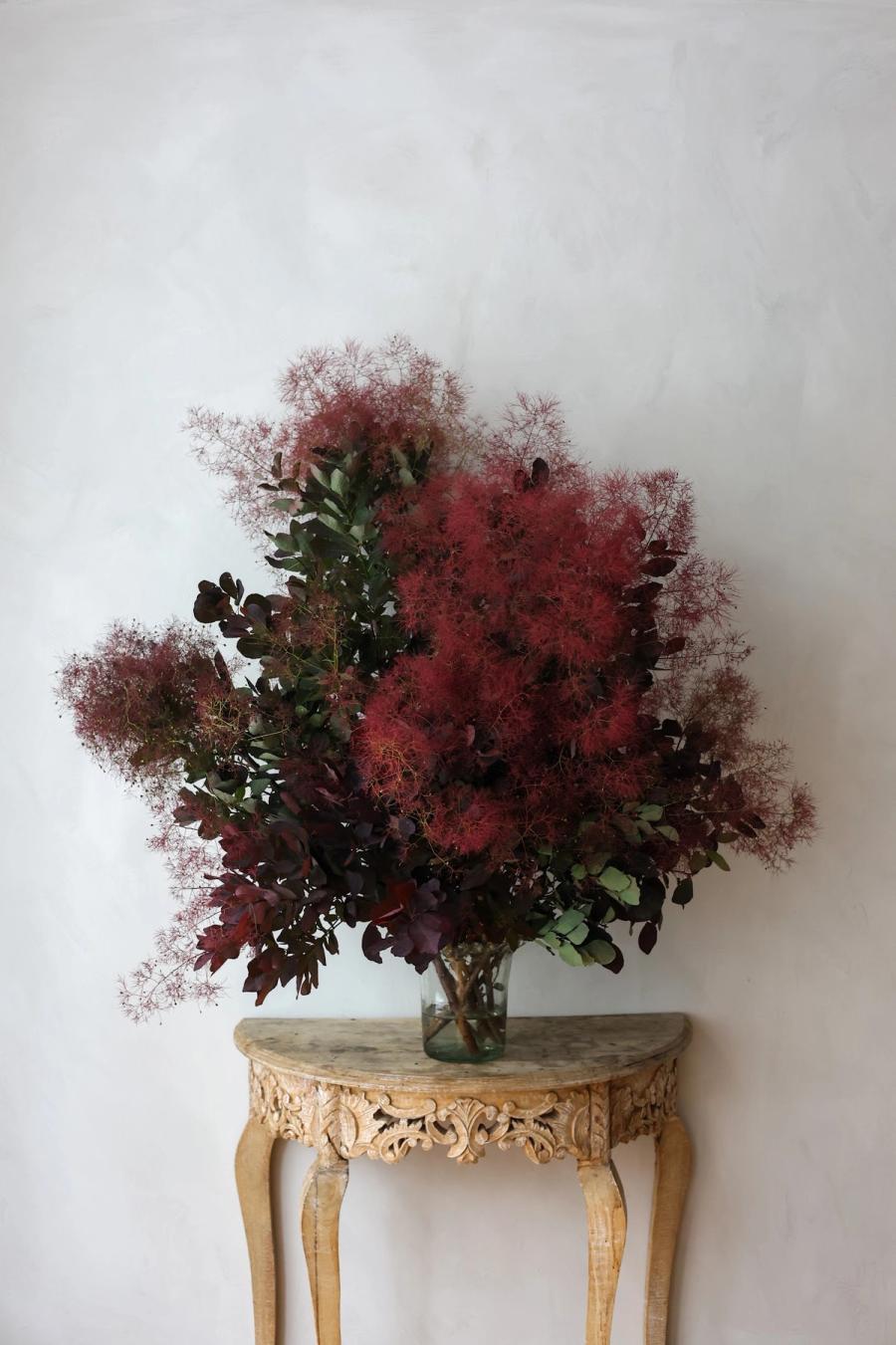 Product image in gallery for Smoke Bush | Item 1