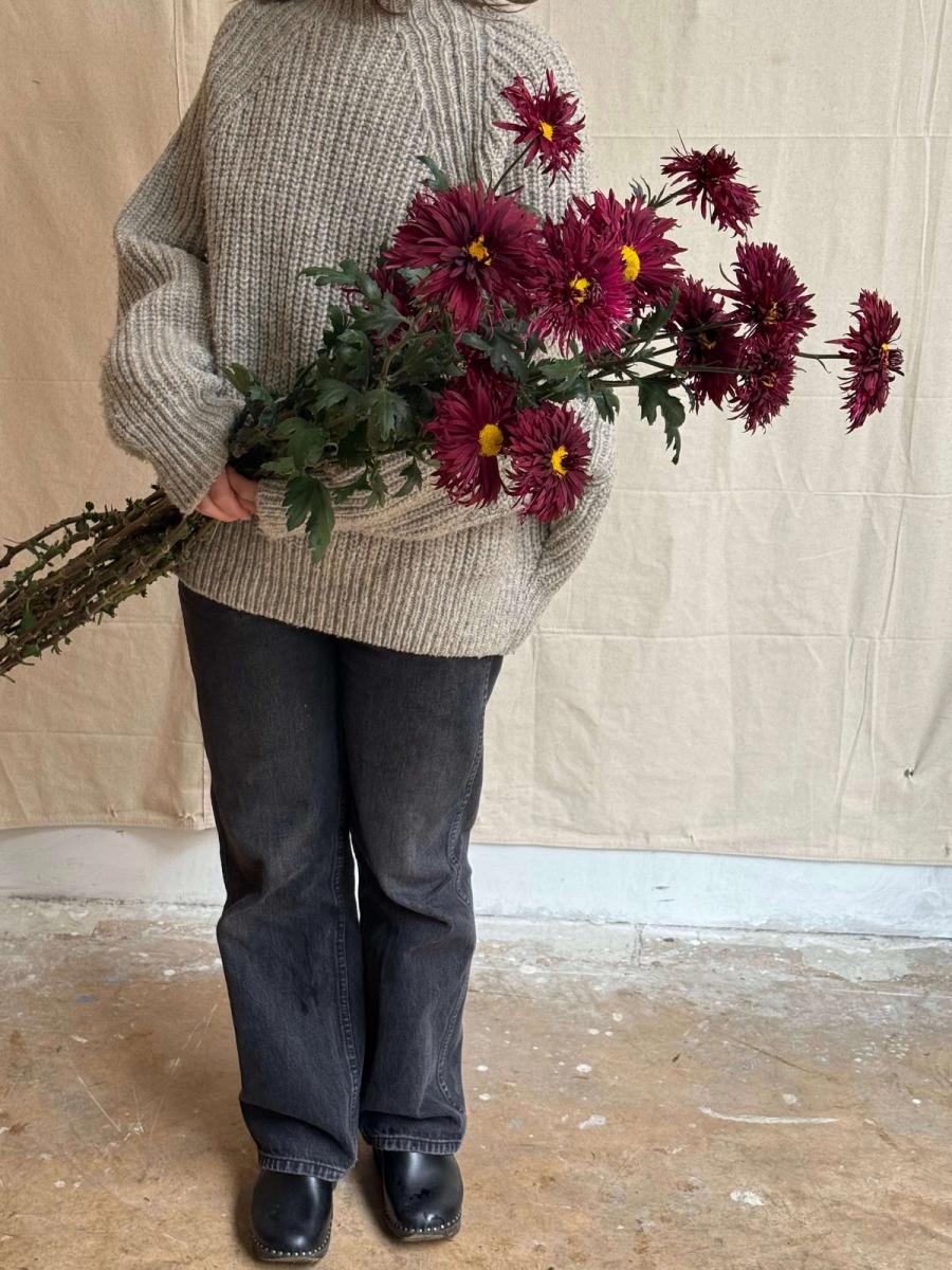 Product image in gallery for Oriental Night Heirloom Chrysanthemums | Item 1