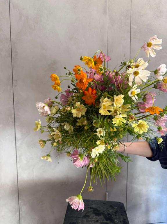 Fox Fodder Flowers image grid container slide 11