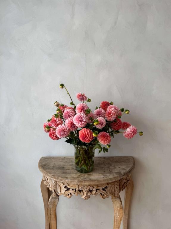 Thumbnail Image of Peaches n' Cream Dahlias