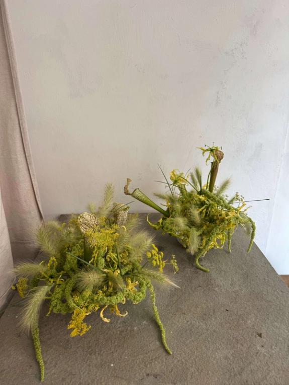 Fox Fodder Flowers image grid container slide 66