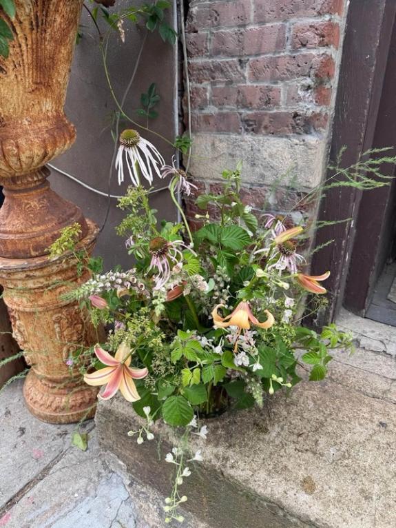 Fox Fodder Flowers image grid container slide 39