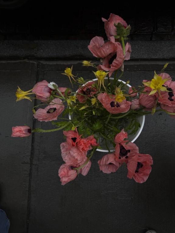 Fox Fodder Flowers image grid container slide 16