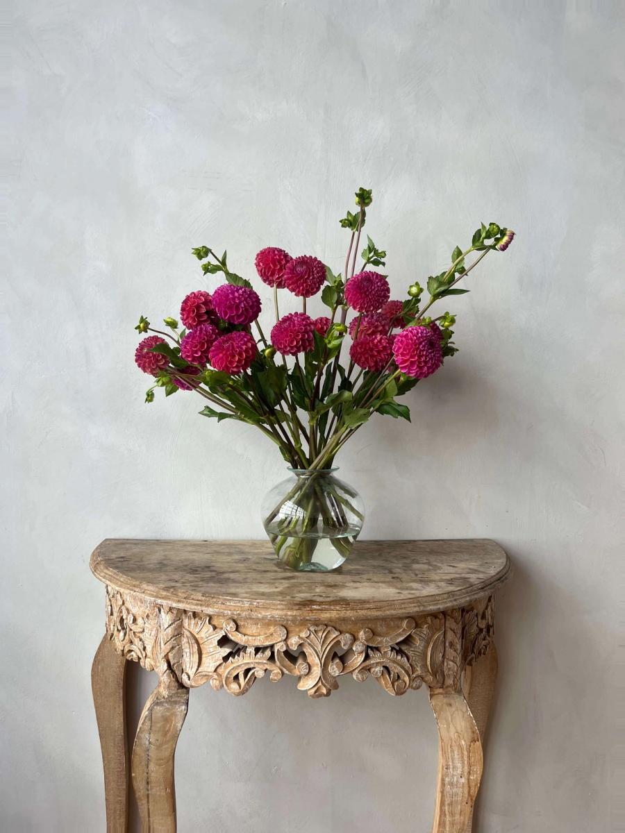 Product image in gallery for Mystique Dahlias | Item 1