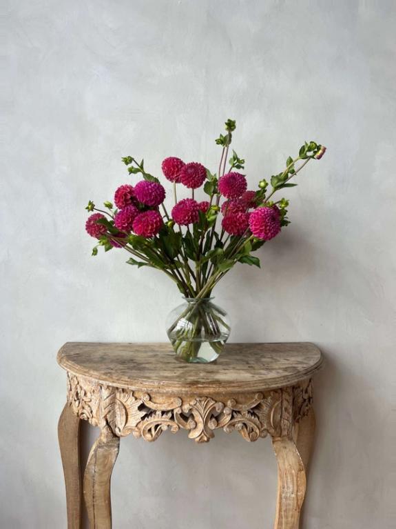 Thumbnail Image of Mystique Dahlias