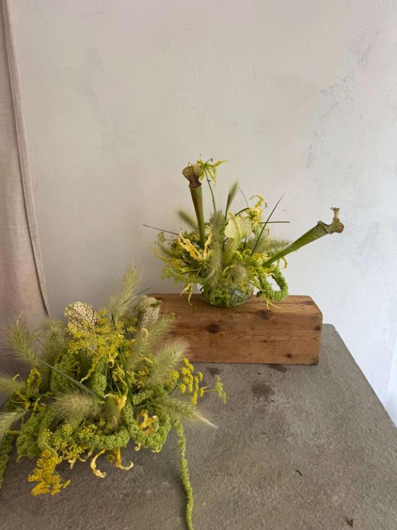 Fox Fodder Flowers image grid container slide 65