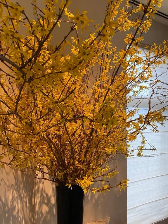 Fox Fodder Flowers image grid container slide 5