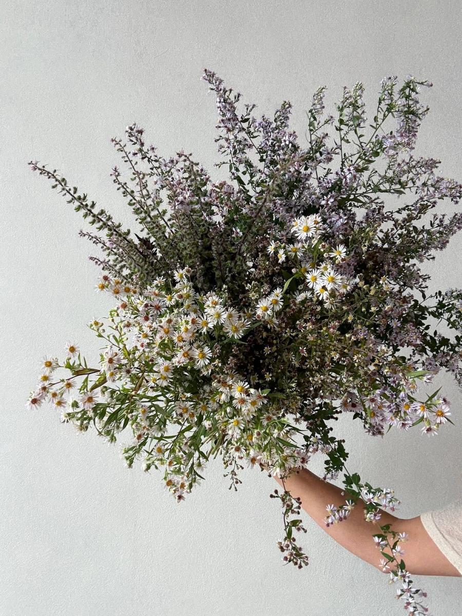 Product image in gallery for Wild Aster and Japanese Shiso | Item 2