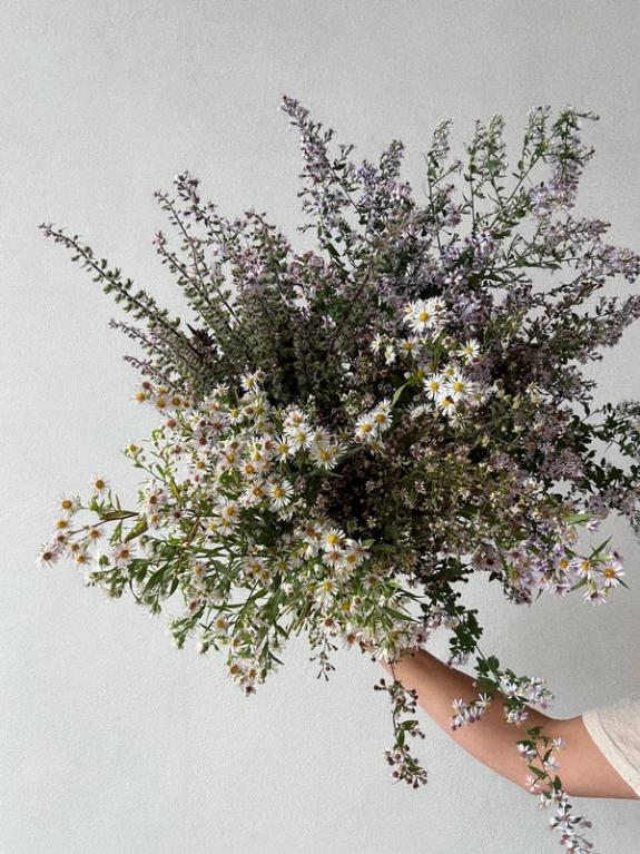 Thumbnail Image of Wild Aster and Japanese Shiso