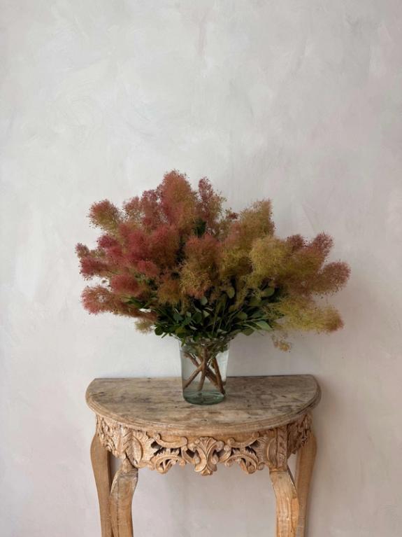 Thumbnail Image of Smokebush in Campo di Fiori Vase