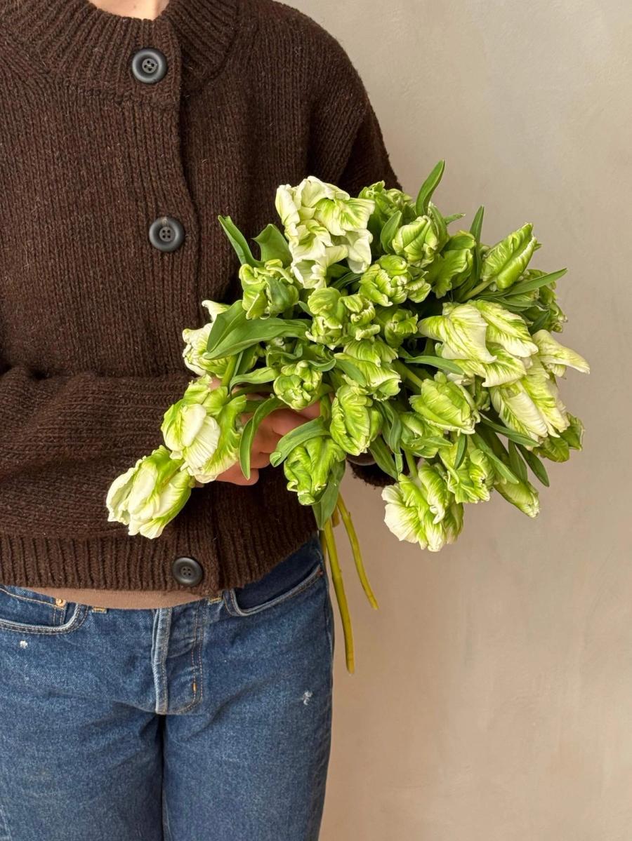 Product image in gallery for Super Parrot Tulips | Item 2