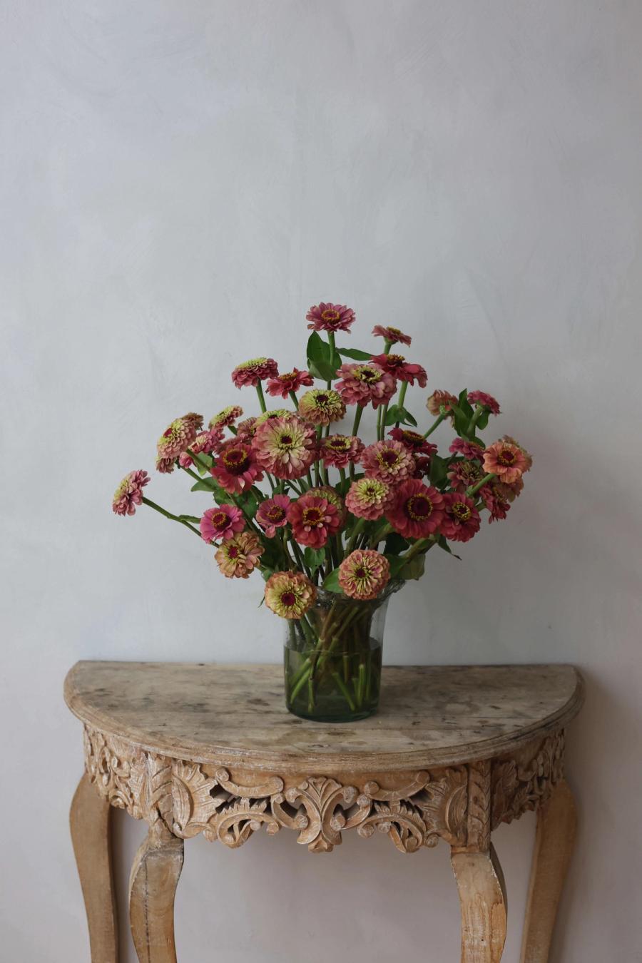 Product image in gallery for Queen Red Lime Zinnia | Item 1