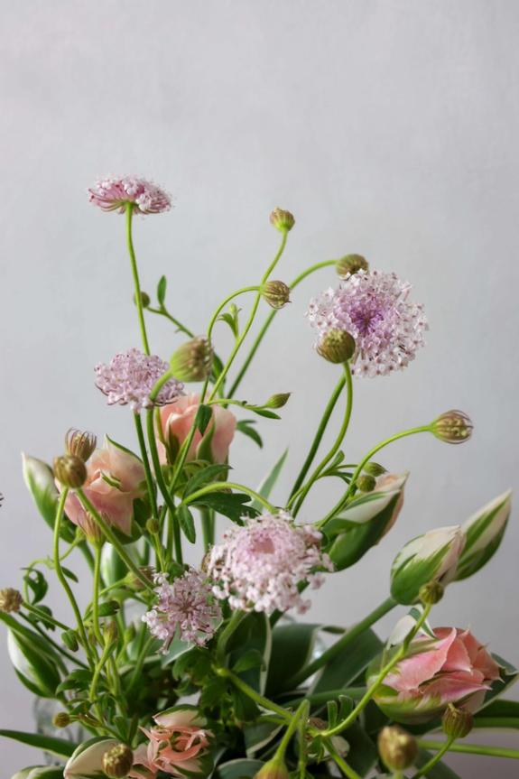 Hover Image of Chinatown Tulips and Pink Didiscus