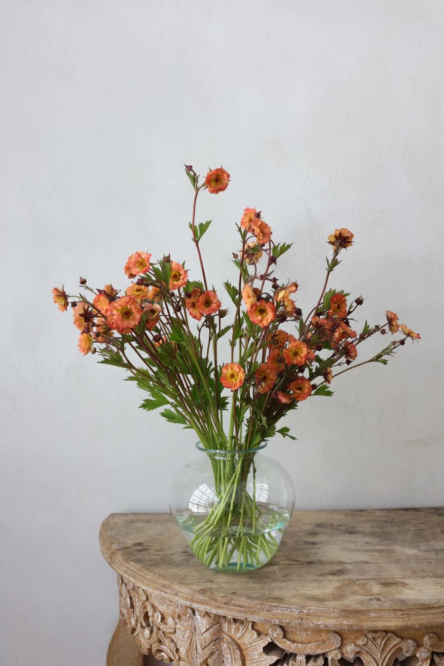 Product image in gallery for Mai Tai Geum in La Soufflerie | Item 1