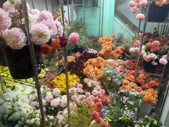 Fox Fodder Flowers image grid container slide 88