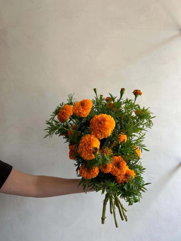 Thumbnail Image of Coco Gold Marigold bunch