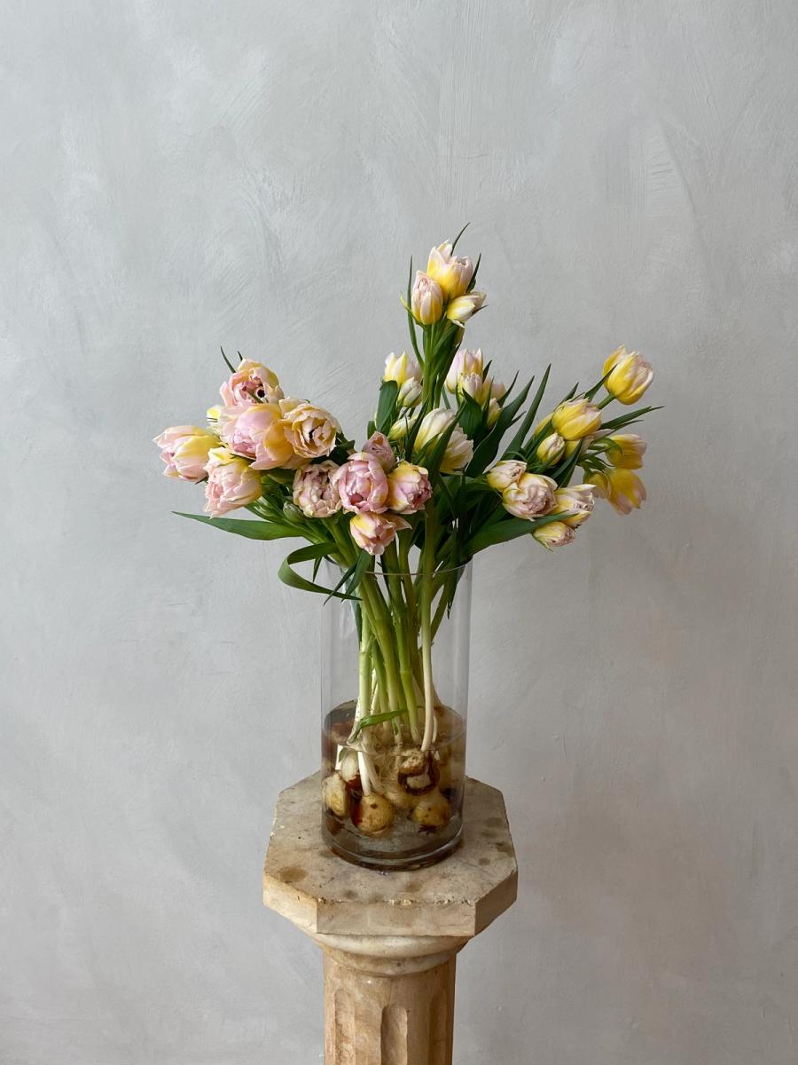 Product image in gallery for Password Tulips on the Bulb | Item 1
