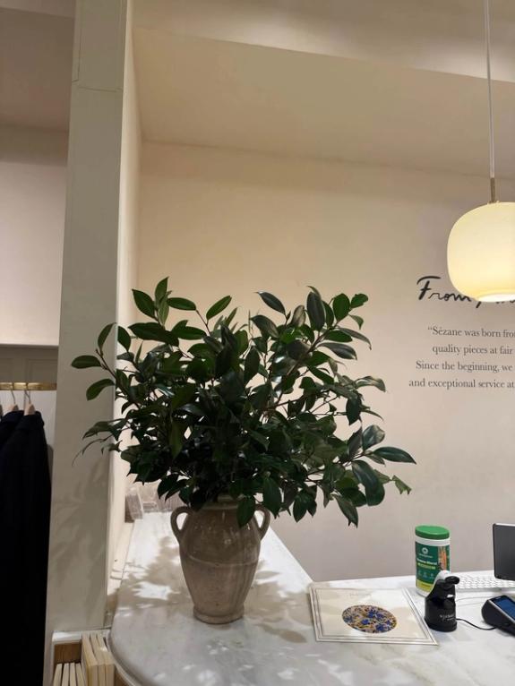 Fox Fodder Flowers image grid container slide 26