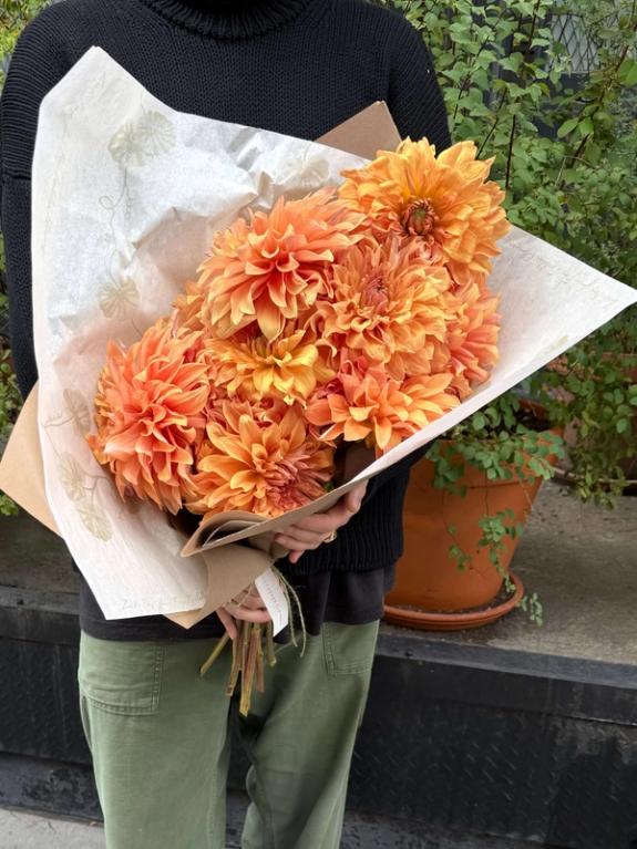 Thumbnail Image of Dinner Plate Dahlias