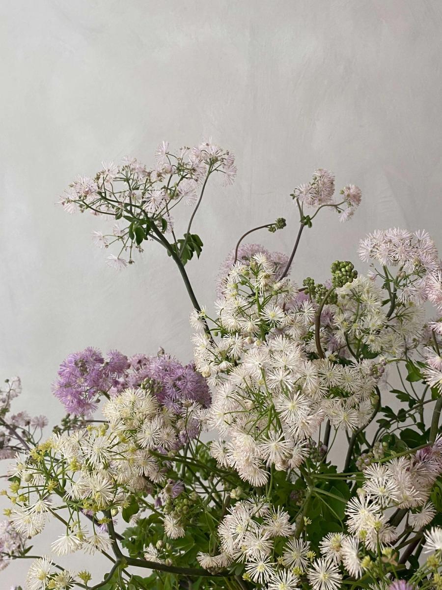 Product image in gallery for Nimbus Thalictrum Arrangement. | Item 2