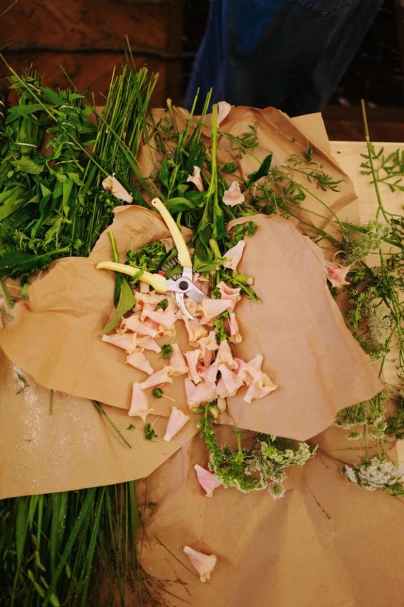 Fox Fodder Flowers image grid container slide 81