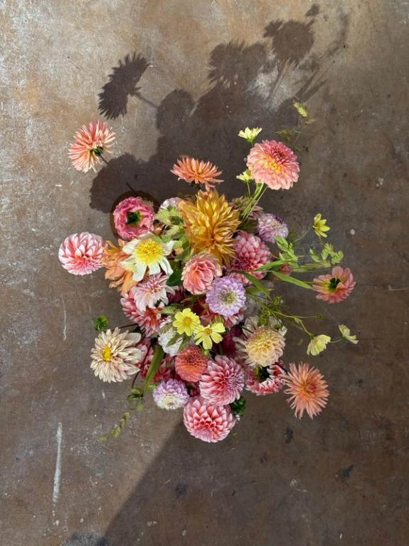 Fox Fodder Flowers image grid container slide 43