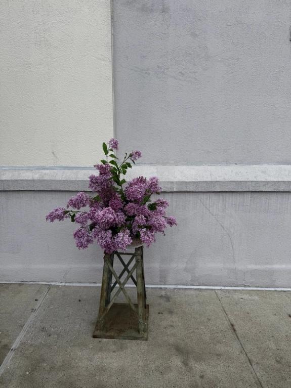 Fox Fodder Flowers image grid container slide 192