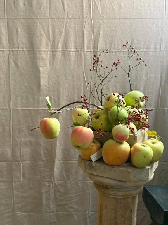 Fox Fodder Flowers image grid container slide 87