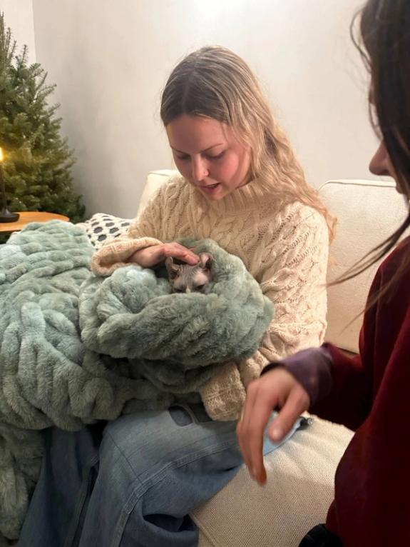 Fox Fodder Flowers image grid container slide 113