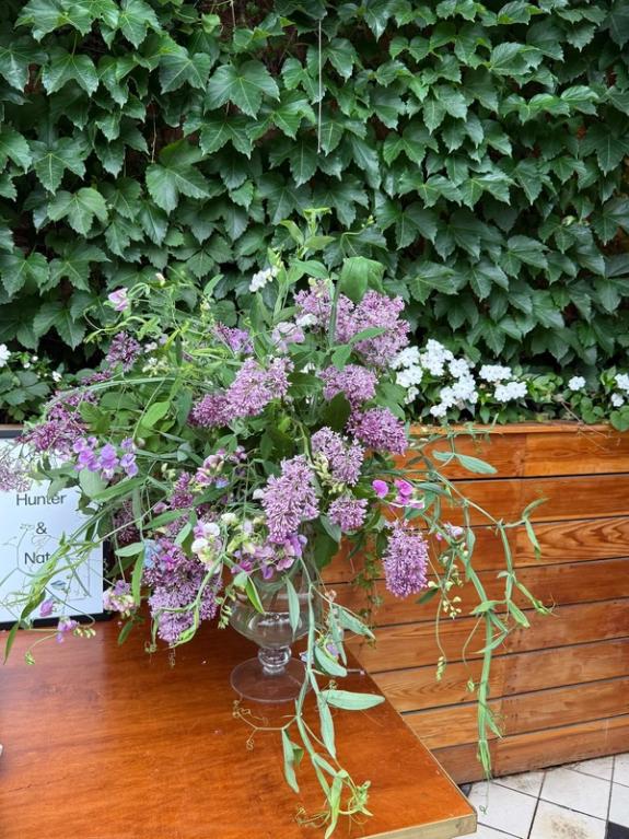 Fox Fodder Flowers image grid container slide 232