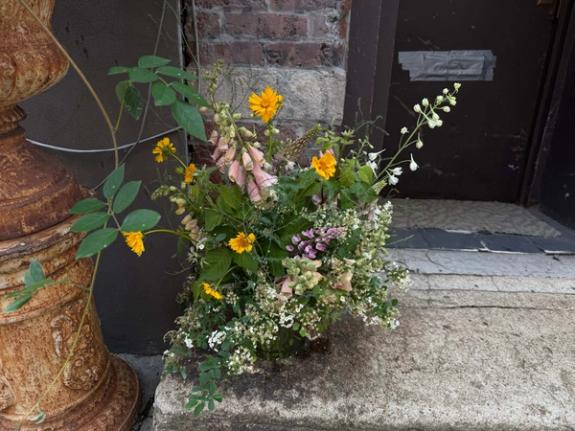 Fox Fodder Flowers image grid container slide 276
