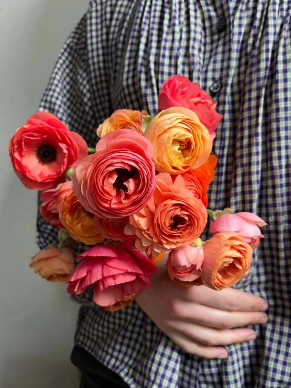 Hover Image of Ranunculus Bunches from TreadlightFarm