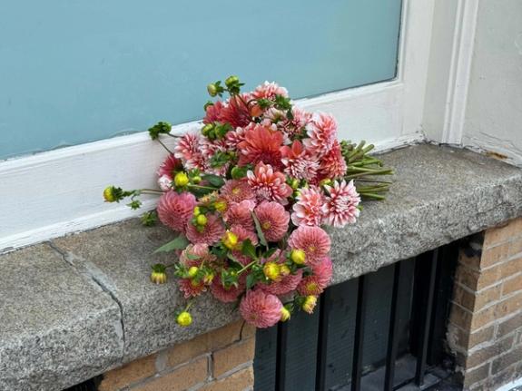 Fox Fodder Flowers image grid container slide 72