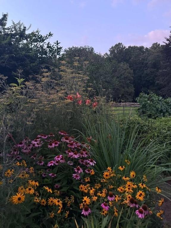 Fox Fodder Flowers image grid container slide 112