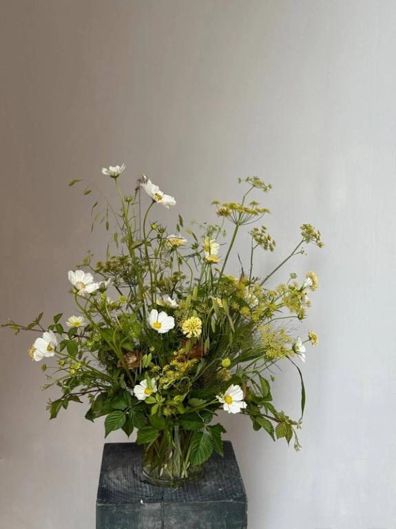 Fox Fodder Flowers image grid container slide 67