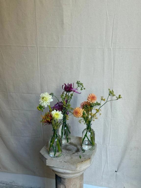 Fox Fodder Flowers image grid container slide 5