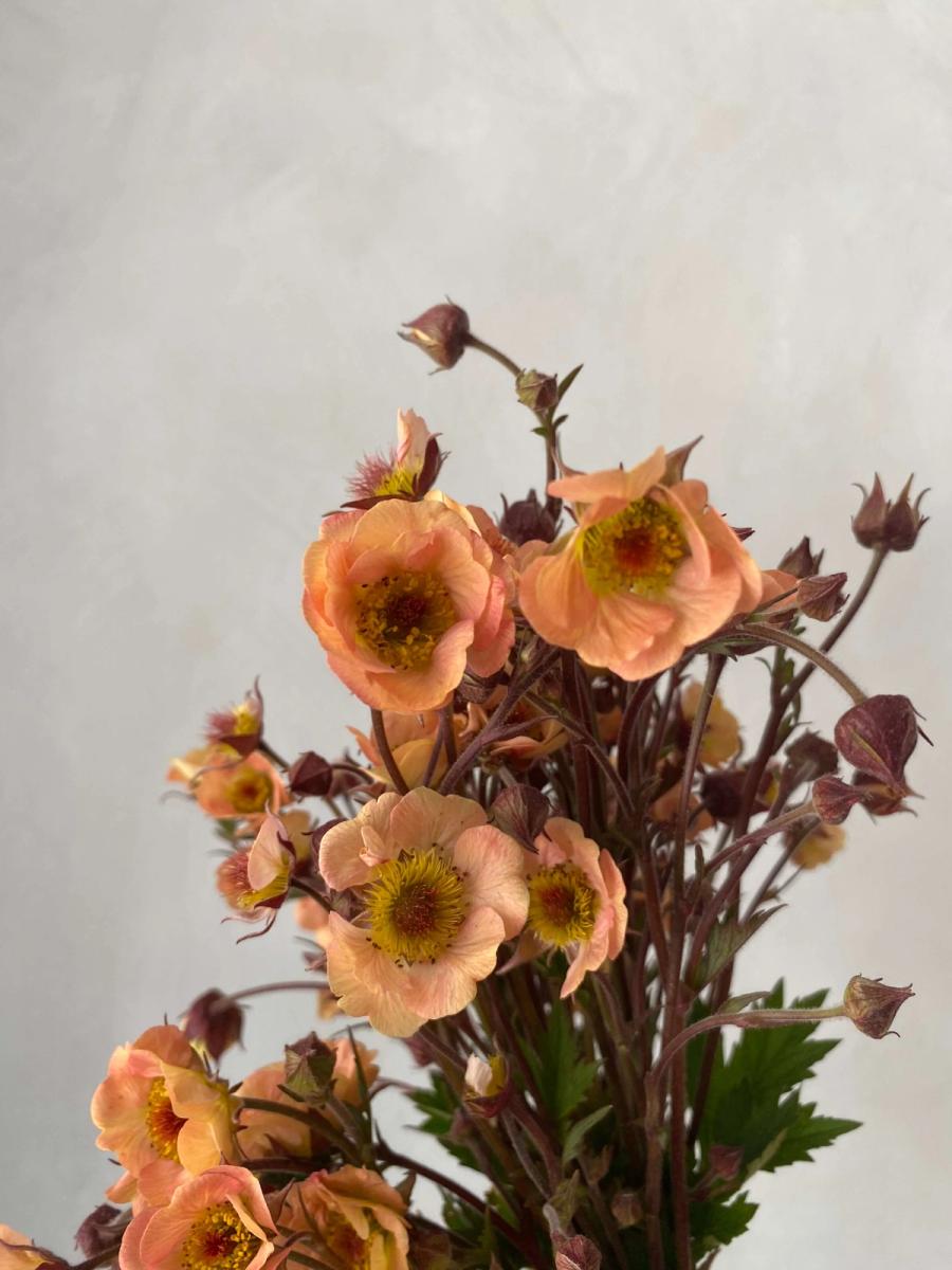 Product image in gallery for Mai Tai Geum | Item 2