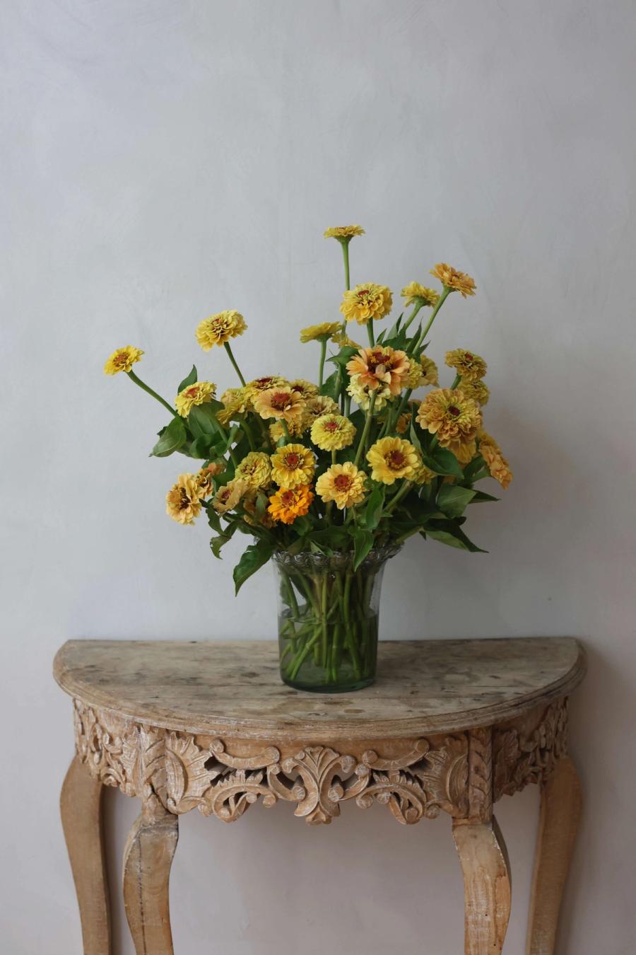 Product image in gallery for Queeny Lemon Peachy Zinnia | Item 1