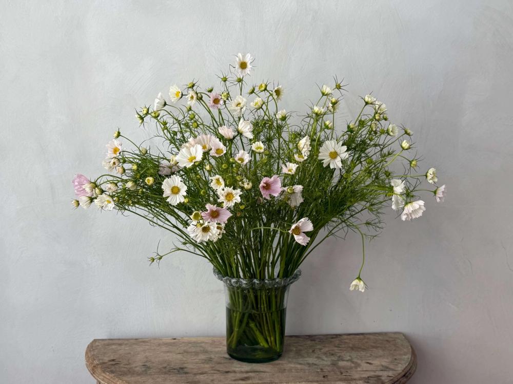 Fox Fodder Flowers Hero Slide 3 Image 1