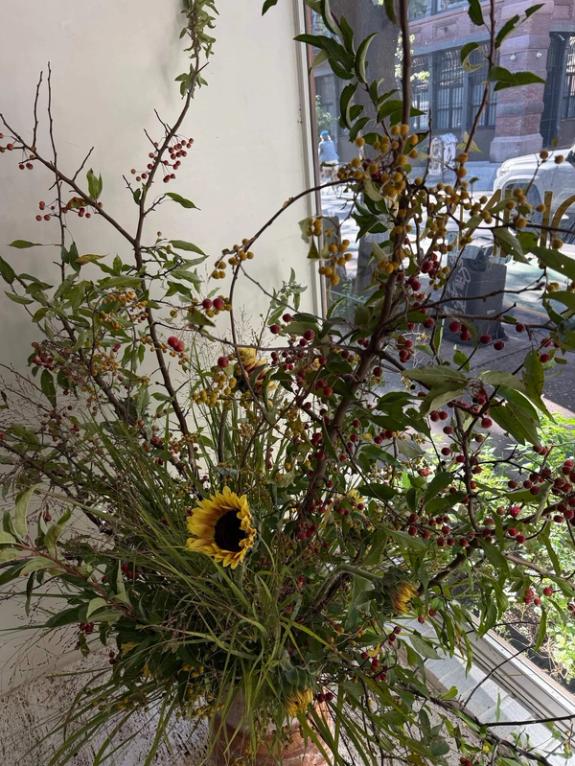 Fox Fodder Flowers image grid container slide 14