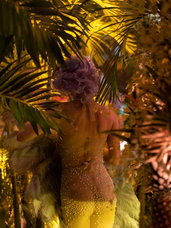 Hover image of Miami Vices