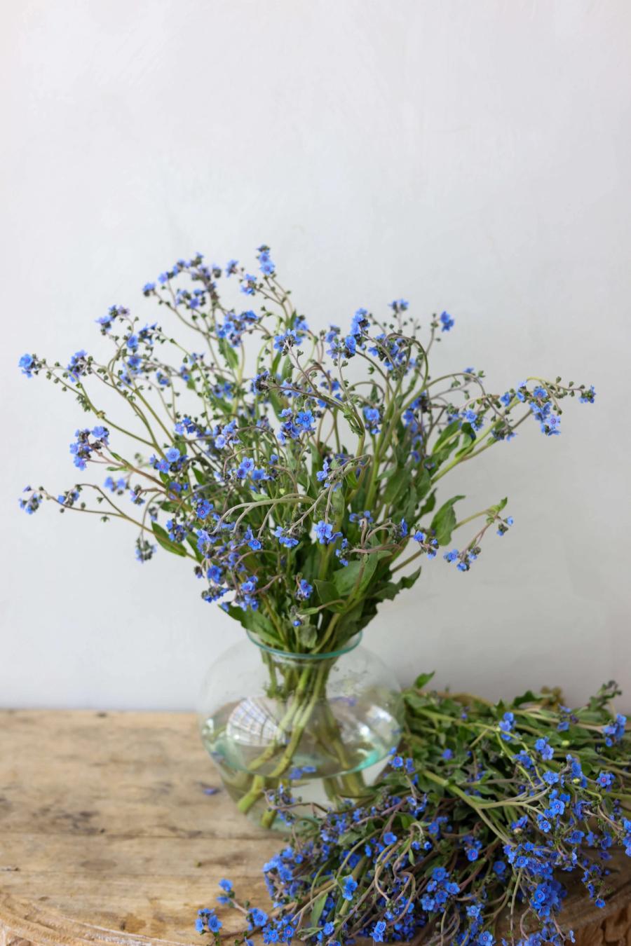 Product image in gallery for Forget Me Not | Item 3