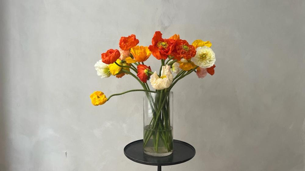 Fox Fodder Flowers Hero Slide 3 Image 1