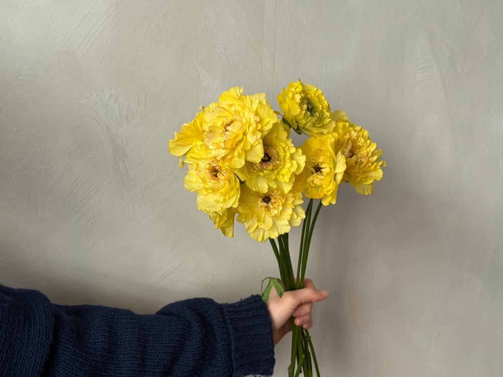 Fox Fodder Flowers Hero Slide 2 Image 1