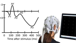 Event Related Potentials