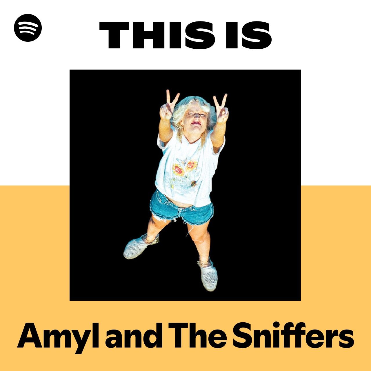 This Is Amyl and The Sniffers