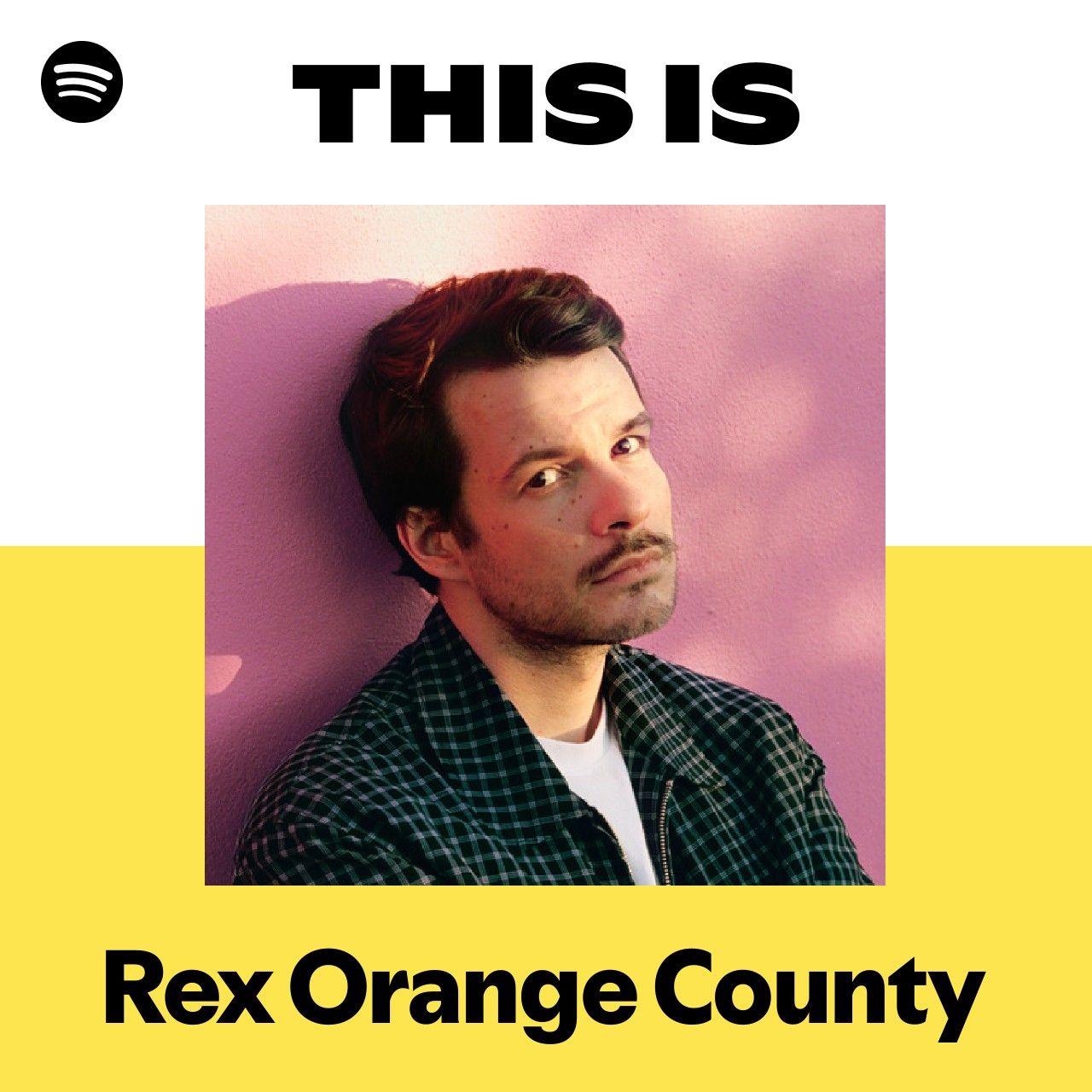 This Is Rex Orange County