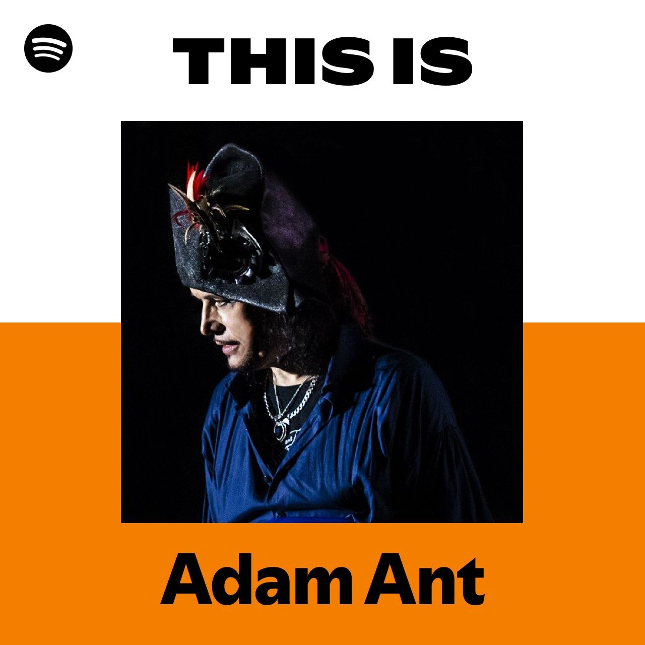 This Is Adam Ant