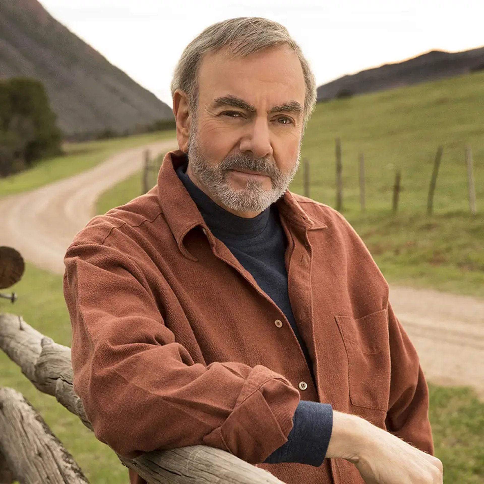 Neil Diamond